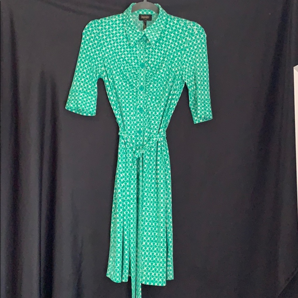 Green/ white shirt dress